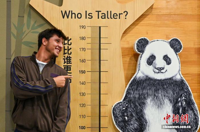 商竣程在内, 当日还有, 掬的大熊猫